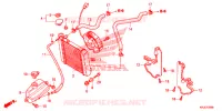 RADIATEUR pour Honda S WING 125 de 2012