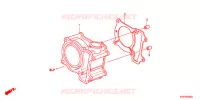 CYLINDRE pour Honda SH 150 SPECIAL 2ED de 2012