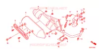 SILENCIEUX D'ECHAPPEMENT pour Honda SH 150 SPECIAL 2ED de 2012