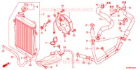 RADIATEUR pour Honda SH 300 ABS SPECIAL 5ED de 2012