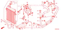 RADIATEUR pour Honda SH 300 de 2012