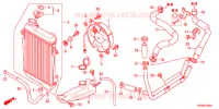 RADIATEUR pour Honda SH 300 de 2012