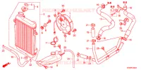 RADIATEUR pour Honda SH 300 R de 2012
