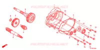 BOITE DE VITESSES pour Honda SH 125 SPECIAL de 2013
