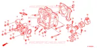 CULASSE pour Honda SH 125 SPECIAL de 2013