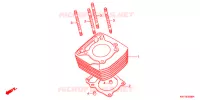 CYLINDRE pour Honda XRE 300 ABS de 2010