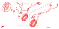 ALTERNATEUR pour Honda CBF 150 de 2007