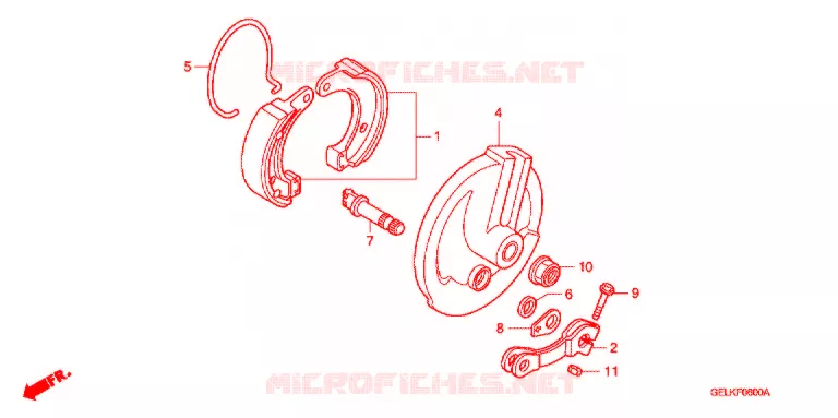 FLASQUE - MACHOIRES DE FREIN AVANT Honda MOTO 50 CRF 2005  CRF50F5