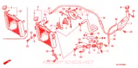 RADIATEUR pour Honda FS 125 SONIC de 2002