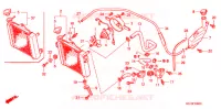RADIATEUR pour Honda FS 125 SONIC de 2004