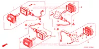 CLIGNOTANT (NPS503/5/6) pour Honda RUCKUS 50 de 2003