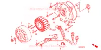 ROTOR   STATOR (NPS503) pour Honda RUCKUS 50 de 2003