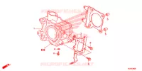 CYLINDRE pour Honda SH 125 ABS SPORTY de 2014