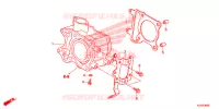 CYLINDRE pour Honda SH 125 SPORTY SPECIAL 4E de 2014