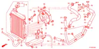 RADIATEUR pour Honda SH 300 de 2014