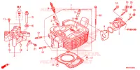 CULASSE pour Honda XR 150 de 2014