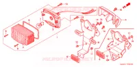 FEU ARRIERE (NPS503/5/6) pour Honda ZOOMER 50 de 2004