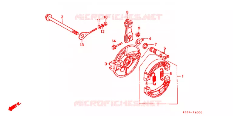 FLASQUE - MACHOIRES DE FREIN ARRIERE Honda MOTO 50 MONKEY 2000  Z50JY_M