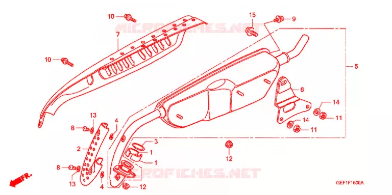SILENCIEUX D'ECHAPPEMENT Honda MOTO 50 GORILLA 2003  Z50J1_G