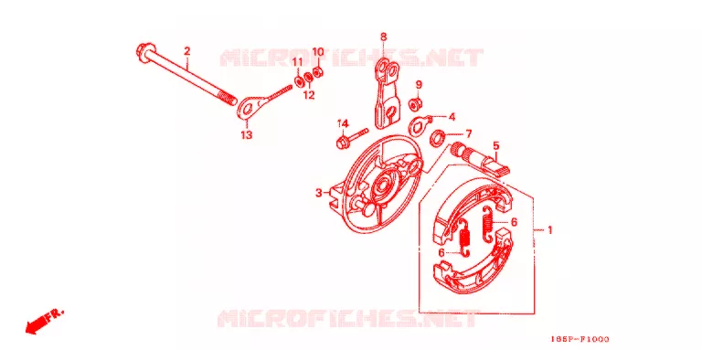 FLASQUE - MACHOIRES DE FREIN ARRIERE Honda MOTO 50 MONKEY 2001  Z50J1_M