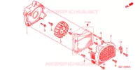 VENTILATEUR ET COUVERCLE DE RADIATEUR pour Honda GIORNO 50 CREA de 1999