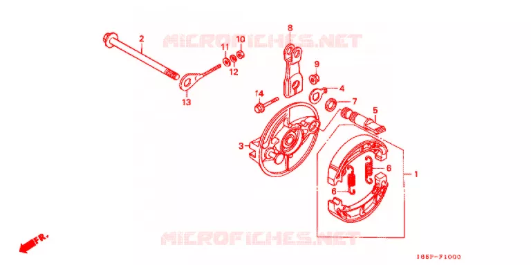 FLASQUE - MACHOIRES DE FREIN ARRIERE Honda MOTO 50 MONKEY 2001  Z50J1_M