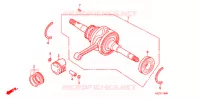 VILEBREQUIN pour Honda ZOOMER 50 de 2002