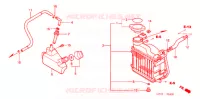 RADIATEUR pour Honda 50 SMART DIO DX de 2003