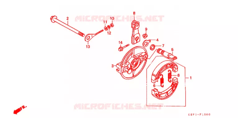 FLASQUE - MACHOIRES DE FREIN ARRIERE Honda MOTO 50 MONKEY 2004  Z50J4_M