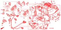 FAISCEAU DES FILS pour Honda 50 SMART DIO Z4 de 2007