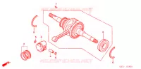 VILEBREQUIN pour Honda RUCKUS 50 de 2003