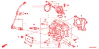 CULASSE pour Honda LITTLE CUB 50 55th Anniversary de 2014