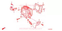 CYLINDRE pour Honda LITTLE CUB 50 55th Anniversary de 2014