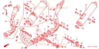 SILENCIEUX D'ECHAPPEMENT pour Honda CBR 954 RR de 2002