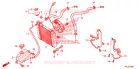 RADIATEUR pour Honda S WING 125 ABS 2ED de 2012