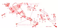 SILENCIEUX D'ECHAPPEMENT pour Honda CRF 250 X de 2009