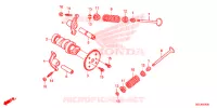 ARBRE A CAMES   SOUPAPE pour Honda 50 METROPOLITAN de 2015