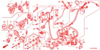 FAISCEAU DES FILS pour Honda TODAY 50 SPECIAL de 2008