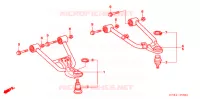 TRIANGLES AVANT ('06 '08) pour Honda TRX 250 SPORTRAX EX de 2007