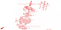 CYLINDRE   CULASSE pour Honda SB 50 PAL de 1987