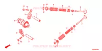 ARBRE A CAMES   SOUPAPE pour Honda SUPER CUB 50 MD -YC- de 2016