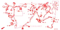 FAISCEAU DES FILS pour Honda TACT 50      2J de 2015