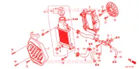 RADIATEUR pour Honda TACT 50      2J de 2015