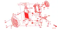 RADIATEUR pour Honda TACT 50 LOWER SEAT 2J de 2016