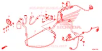 FAISCEAU DES FILS pour Honda BEAT 110 CBS de 2018