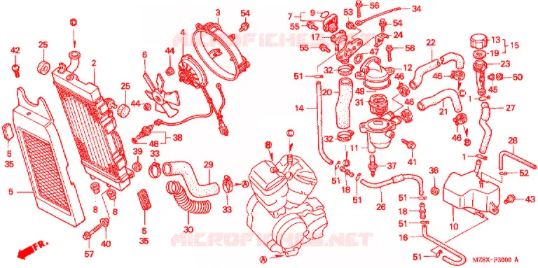 RADIATEUR Honda MOTO 600 SHADOW 2001  VT600CD1