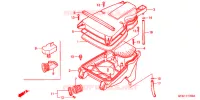 FILTRE A AIR pour Honda NSR 50 de 2001