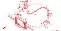 RADIATEUR pour Honda NSR 50 de 2001