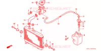 RADIATEUR pour Honda NSR 80 de 1988