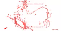 RADIATEUR pour Honda NSR 80 de 1989